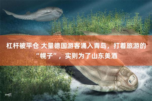 杠杆被平仓 大量德国游客涌入青岛，打着旅游的“幌子”，实则为了山东美酒