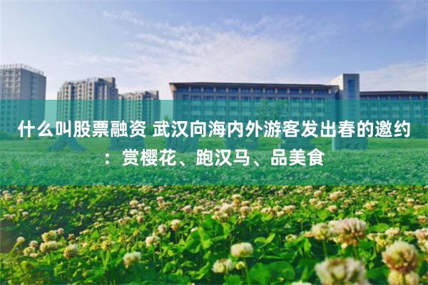 什么叫股票融资 武汉向海内外游客发出春的邀约：赏樱花、跑汉马、品美食