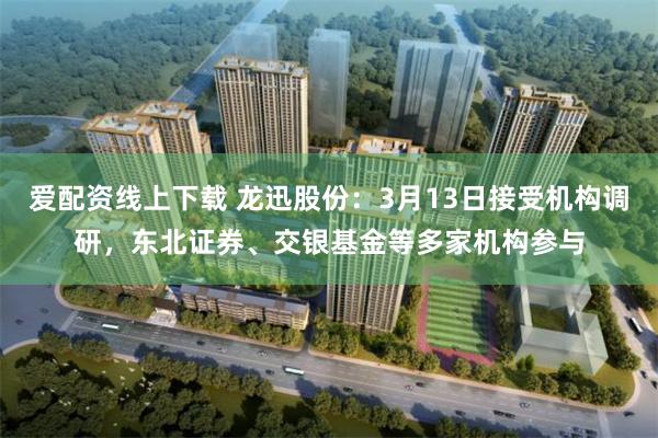 爱配资线上下载 龙迅股份：3月13日接受机构调研，东北证券、交银基金等多家机构参与