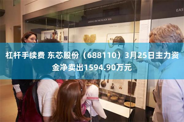 杠杆手续费 东芯股份（688110）3月25日主力资金净卖出1594.90万元