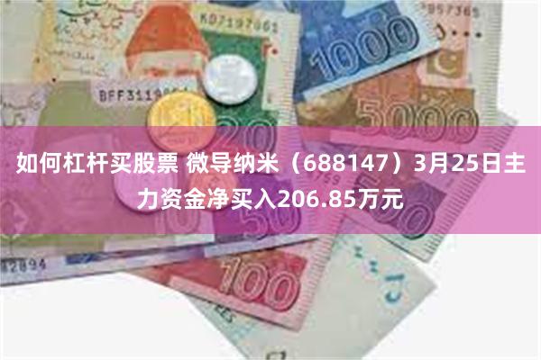 如何杠杆买股票 微导纳米（688147）3月25日主力资金净买入206.85万元