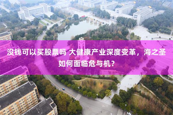 没钱可以买股票吗 大健康产业深度变革，海之圣如何面临危与机？