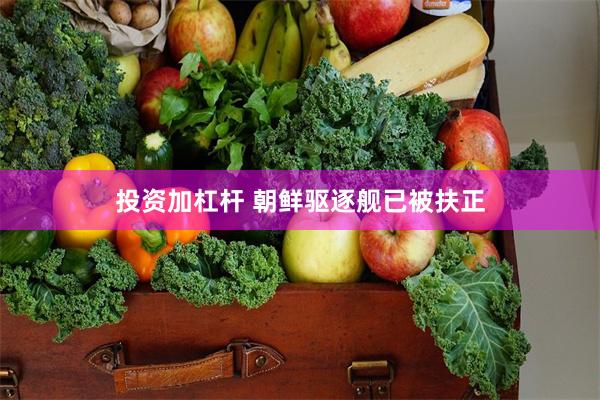 投资加杠杆 朝鲜驱逐舰已被扶正